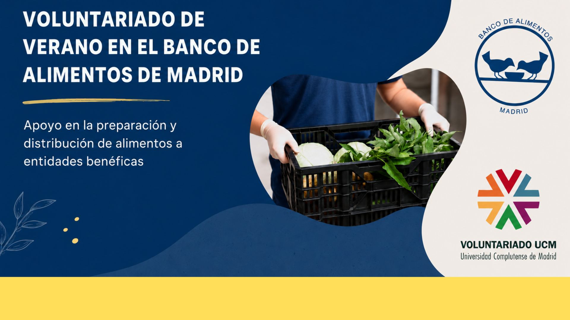 Súmate al voluntariado del Banco de Alimentos de Madrid